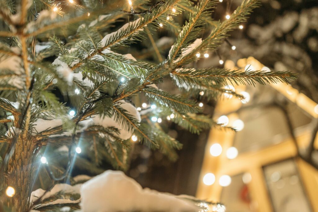 Luci di Natale